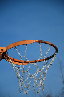 开云体育下载官网-NBA球队球员培养规划设计，nba对球员的要求是什么