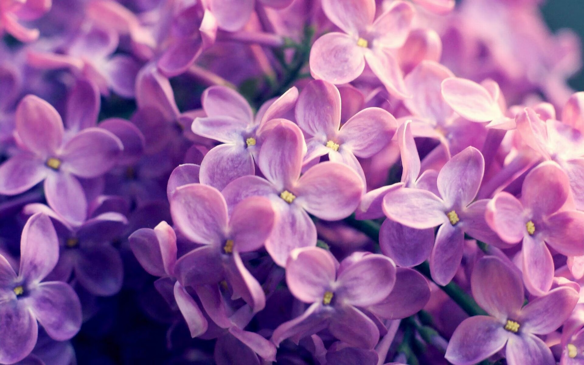 开云kaiyun-中国三人篮球女队打造全能型轮换阵容，三人篮球 中国女篮