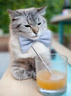 开云体育官方入口-中国三人篮球男队适应国际比赛节奏，三人篮球赛中国队球员