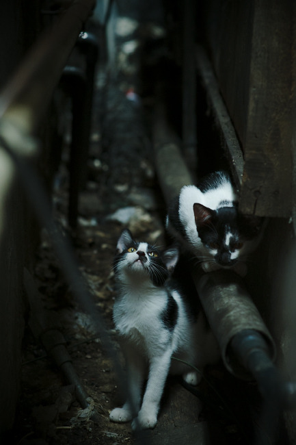 开云体育在线入口-中国男篮力克老对手 展现强硬防守态度，中国男篮vs克拉克森