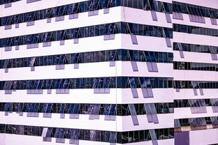 开云真人娱乐官网-体育新闻中心建设体育数字内容版权保护体系，体育数据新闻