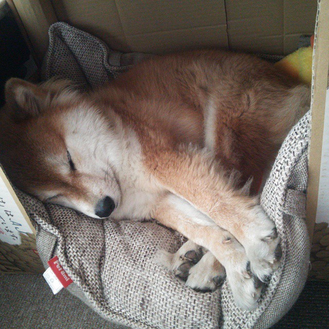 开云娱乐官网-基层足球发展受教育体制影响,发展足球事业的三个目标 第1张 开云娱乐官网-基层足球发展受教育体制影响,发展足球事业的三个目标 第1张