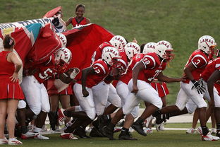 开云体育下载官网-青少年体育社团快速发展 激发校园活力，体育社团开展