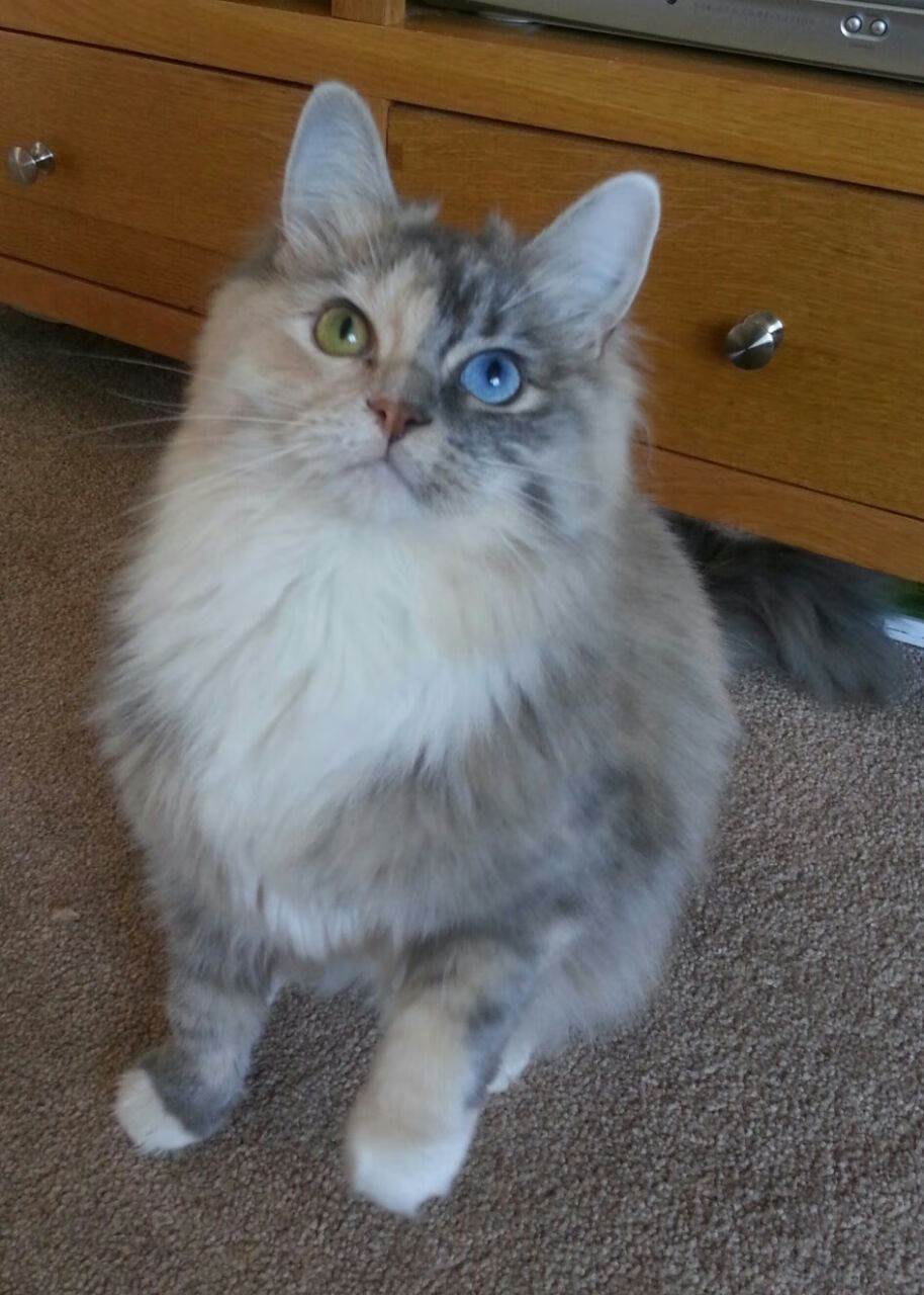 开云官网登录-东契奇对决库里控卫之争再起，库里与东契奇拥抱照片